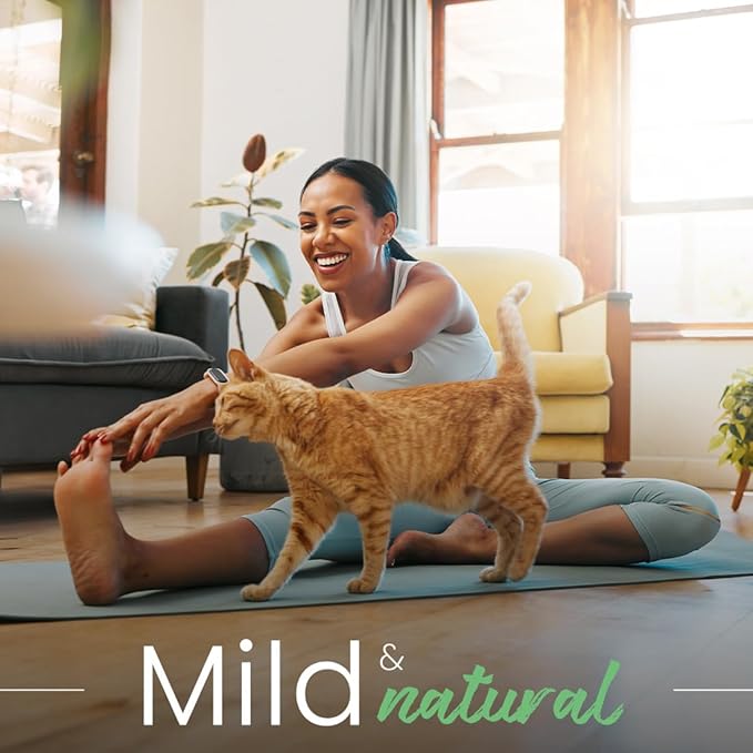 Best Shot Scentament Spa Caressing Body Wash, Fresh Apple Lily, 1 gallon