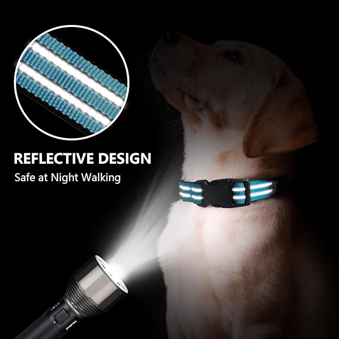 Hikiko Martingale Dog Collars Reflective Nylon Dog Collar with Quick Release Buckle Adjustable Training No Slip Dog Collar (Small, Light Blue)