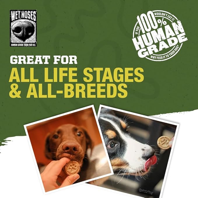 Grain-Free Organic Crunchy Dog Treats – for All Pet Sizes, Breeds – All-Natural Treat – 100% Human-Grade – Delicious Snacks for Dogs – 14 Oz, Grain Free - Peanut Butter Banana, 2 X 14oz Box