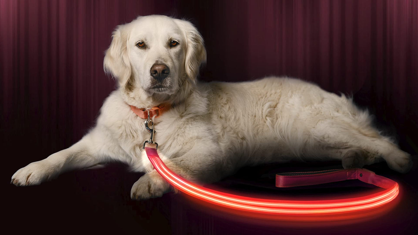 Illumiseen LED Light Up Dog Leash | Ultra High Visibility Up to 350 Yards | 3 Lighting Modes | USB Rechargeable, No Batteries Needed | Padded Handle & Rotating Swivel Clasp to Prevent Leash Tangling