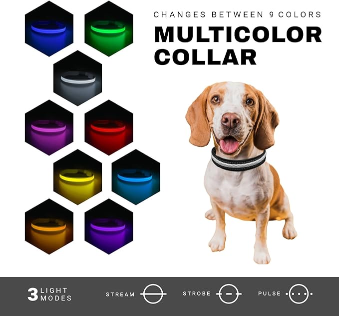 LED Dog Collar with Tracker Case - Bright Weatherproof Light Up Safety Collar, Silicone Tracker Holder, USB-C Rechargeable & Adjustable for Small, Medium & Large Dogs (Multicolor, Medium)