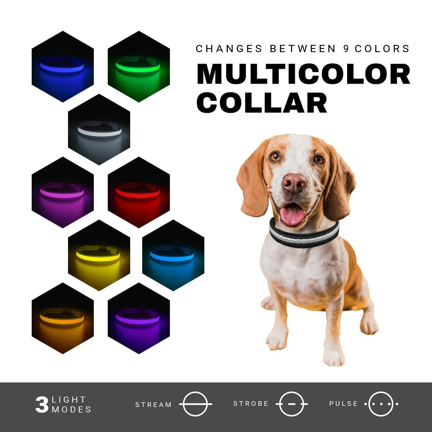 ZAPRIX LED Dog Collar - Bright Premium Weatherproof Light Up Collar for Pet Safety, USB C Rechargeable & Adjustable for Small, Medium & Large Dogs (Multicolor, Medium)