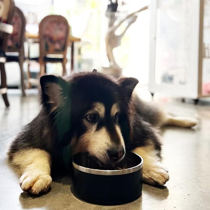 IKITCHEN Dog Bowl for Food and Water, 64 Oz Stainless Steel Pet Feeding Bowl, Durable Non-Skid Double Wall Insulated Heavy Duty with Rubber Bottom for Medium Large Sized Dogs (64 Ounces/8 Cup, Black)