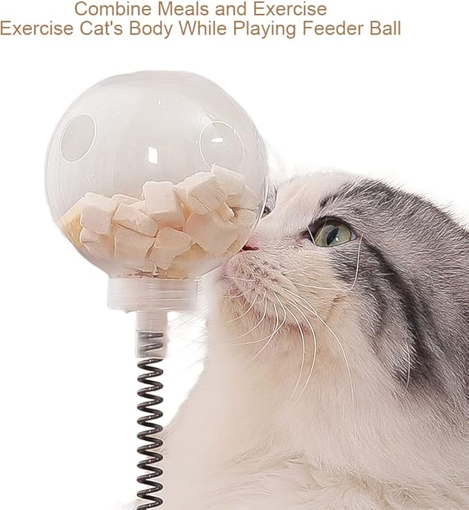 Marchul Cat Ball Toy with Treat Ball, KittenTreat Dispenser Toy with Roller Track Catnip Balls, Interactive Cat Toys Wooden for Indoor Kitten, Food Toy with Automatic Slow Feeder