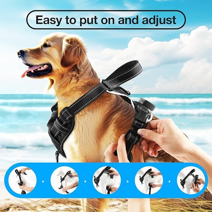 Generic RED (LED) Light D Dog Harness | Dog Harness Medium Sized Dog | Light Up Dog Harness | Soft Handle | Rechargeable, Lighted Dog Collars for Night | Glow in The Dark Dog Collar | RED - Medium