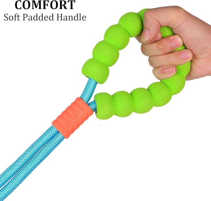 JSXD 5 FT Heavy Duty Dog Training Leash - Double Handle Comfortable Padded Hands Free, Adjustable Crossbody Waist for Small Medium Large Dogs (Blue)