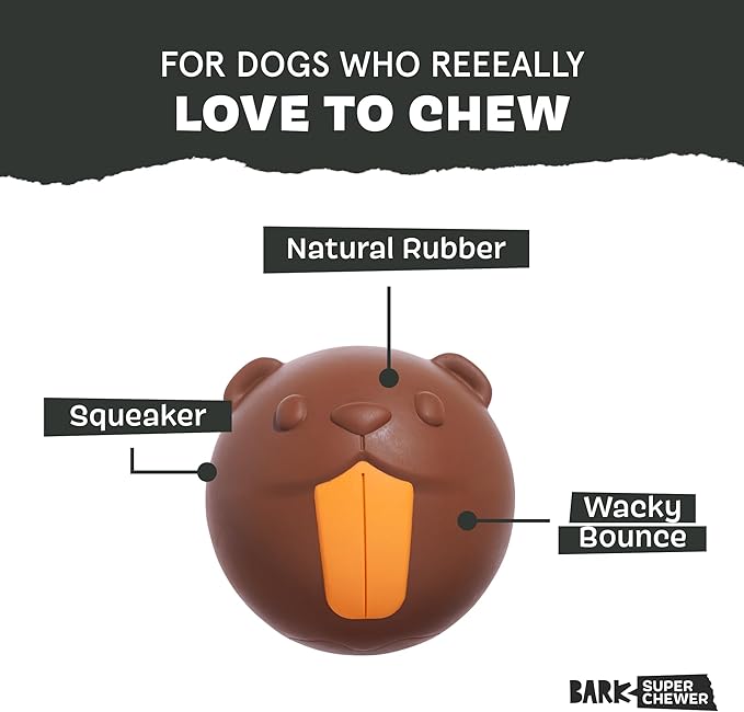 Barkbox Ricochet The Nutria Dog Toy – All-Rubber Design with Fun Squeak, Perfect for Enthusiastic Chewers and Durable Playtime