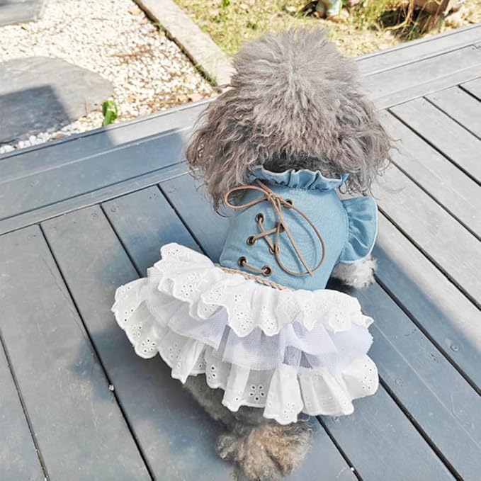 Girl Dog Denim Dress with Flared Sleeves Dog Jeans Jacket Blue White Puppy Clothes for Small Dogs Cat Apparel Cake Skirt Pet Outfit (Blue, Large)