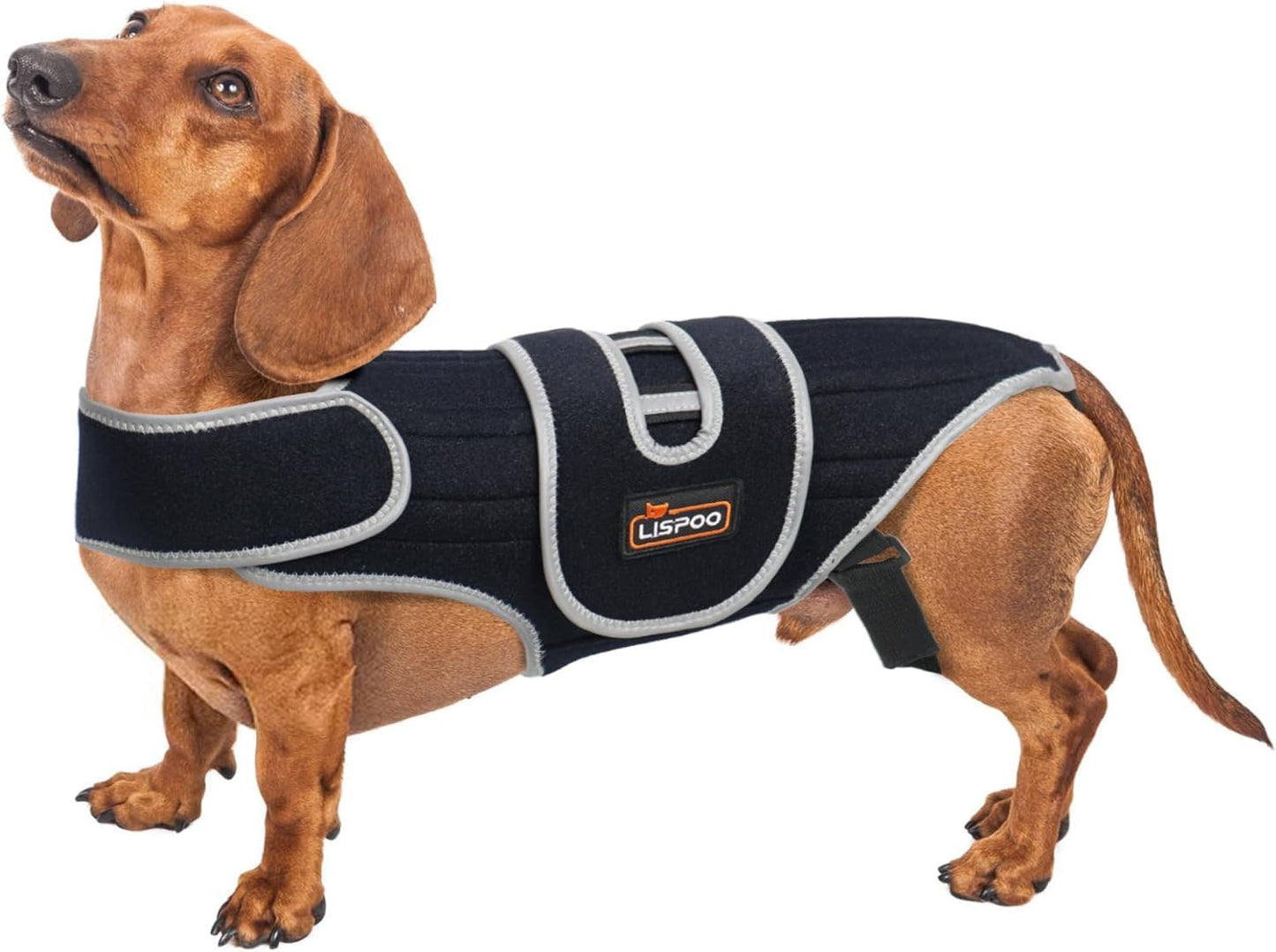 IVDD Dog Back Brace | Post-Surgery Support & Arthritis Relief | Vet-Recommended Spinal Support for Dogs | Breathable Fabric with Support Rods & Adjustable Straps (Size XL)