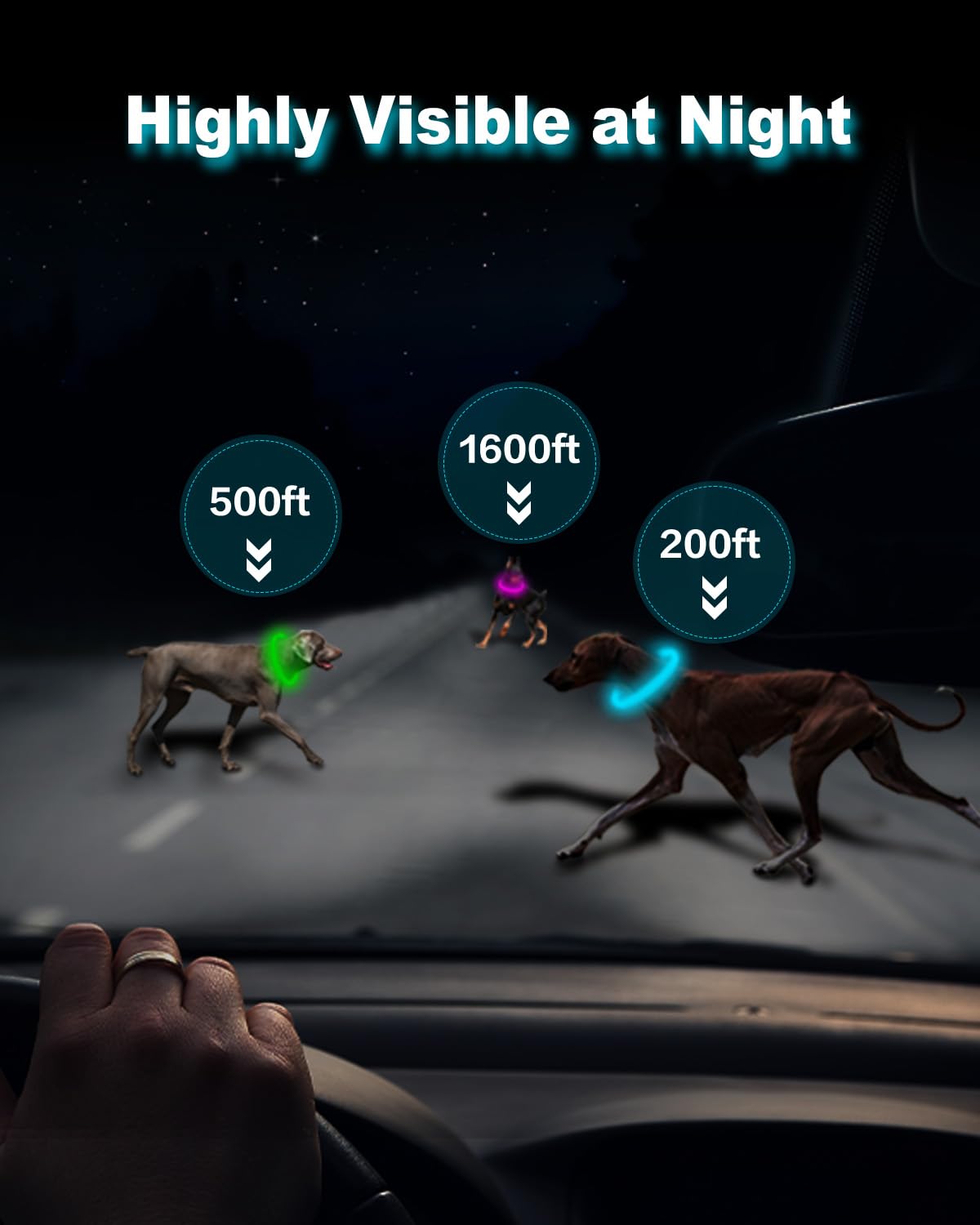 Led Dog Collar,9 Colors Light Up Dogs Collar USB Rechargeable Pet Safety Necklace,Brightest Adjustable Size Dog Collar Lights,High Visibility Glow in The Dark for Night Walking Small Medium Large Dogs