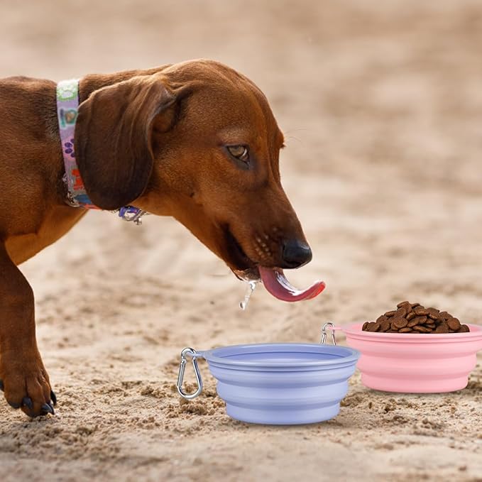 Kytely Collapsible Dog Bowls Medium (650ml), 2 Pack Travel Dog Bowls for Dog Cat, Portable Pet Water Food Bowl with Clasp, Pet Cat Feeding Cup Dish for Outdoor, Travel, Walking, Parking