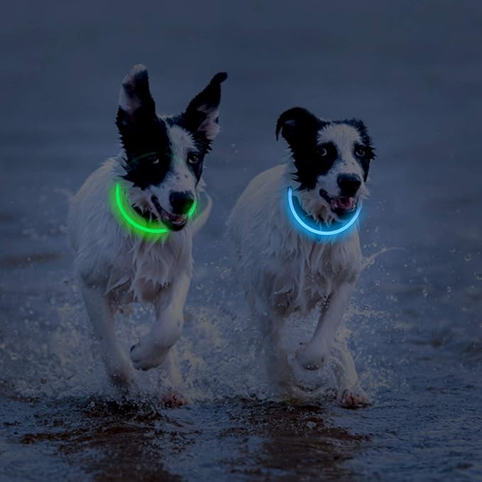 2-Pack LED Dog Collar, Light Up Dog Collars,Rechargeable Dog Lights for Night Walking，Universal, Reusable Safety Necklace for Small Medium Large Dogs Green&Blue
