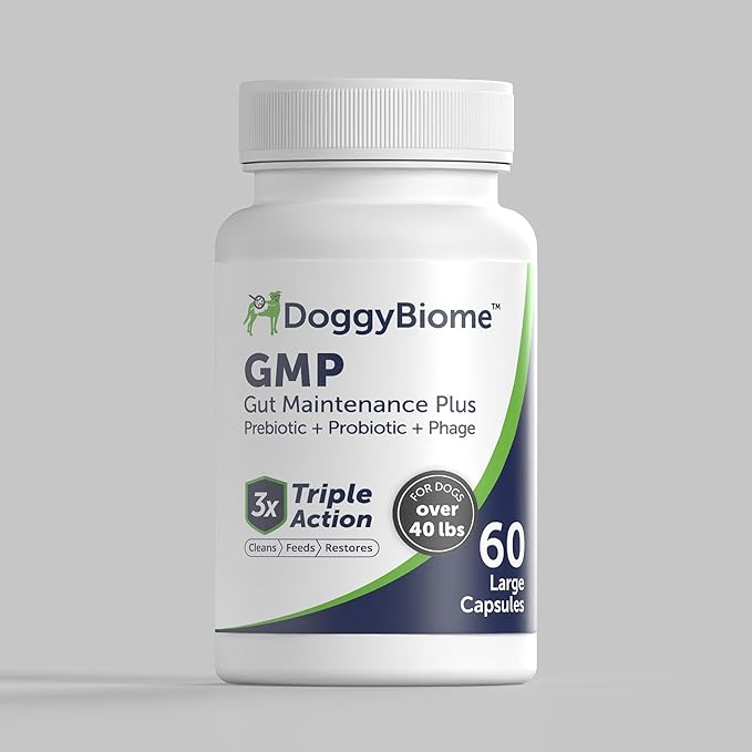 Dog Probiotics - GMP Prebiotics and Probiotics - Reduce Diarrhea Flareups - for Dogs Over 40 lbs (60 Capsules) - DoggyBiome