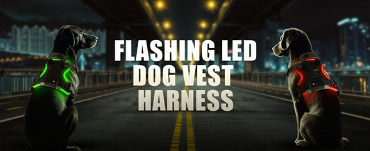 Generic RED (LED) Light D Dog Harness | Dog Harness Medium Sized Dog | Light Up Dog Harness | Soft Handle | Rechargeable, Lighted Dog Collars for Night | Glow in The Dark Dog Collar | RED - Medium