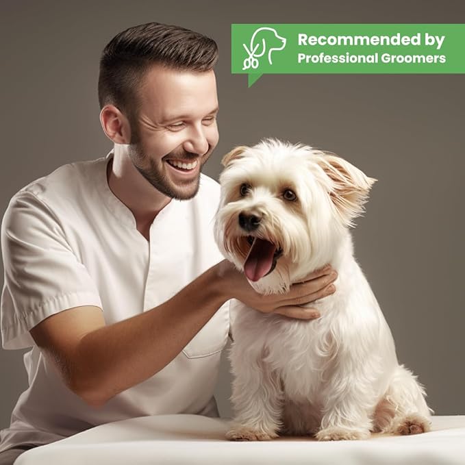 Best Shot Scentament Spa Calming Body Wash, Lavender Aloe, 16 oz