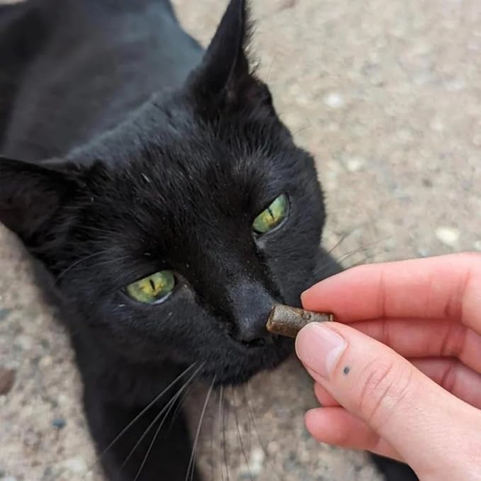 Hemp Well Cat Hairball Soft Chews for Cats, Organic USA Grown, Chicken Cheese & Catnip Flavor!