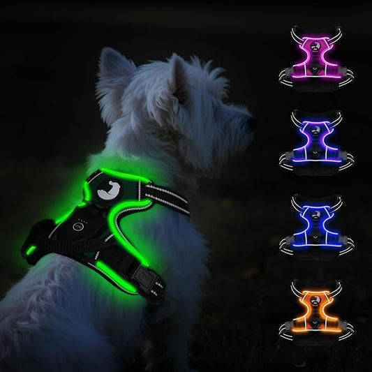 Taglory Light Up Dog Harness, Rechargeable No Pull Dog Vest with 3 Lightning Modes, Reflective Dog Harness with 2 Leash Clips & 4 Adjustable Slide Strips for Small Dogs, Turquoise-Green, S