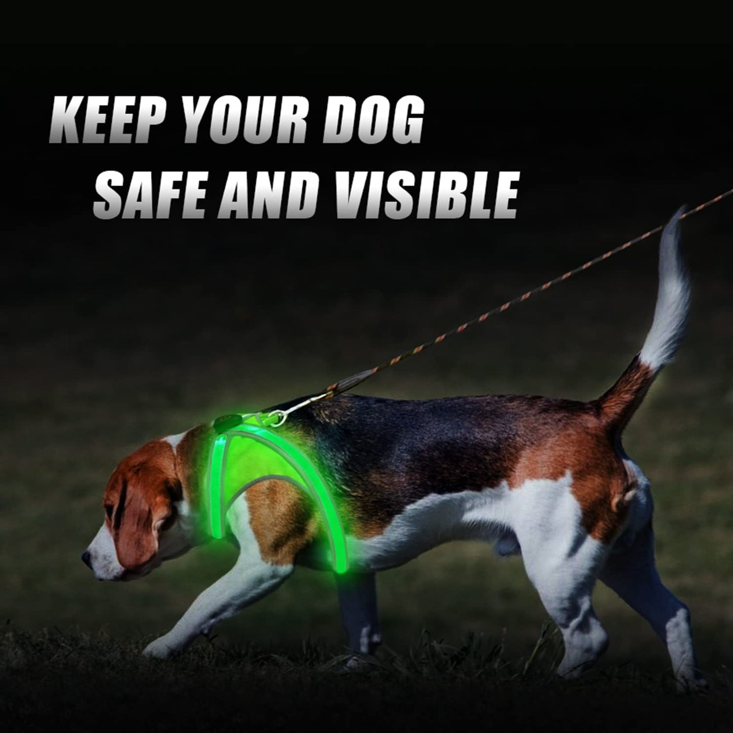 Tripolaco Light Up Dog Harness, High Visibility LED Dog Harness for Night Walking, USB Rechargeable Glowing Dog Harness - Flashing for Small/Medium/Large Dogs (Green)