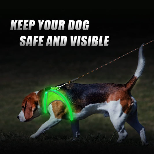 Tripolaco Light Up Dog Harness, High Visibility LED Dog Harness for Night Walking, USB Rechargeable Glowing Dog Harness - Flashing for Small/Medium/Large Dogs (Green)