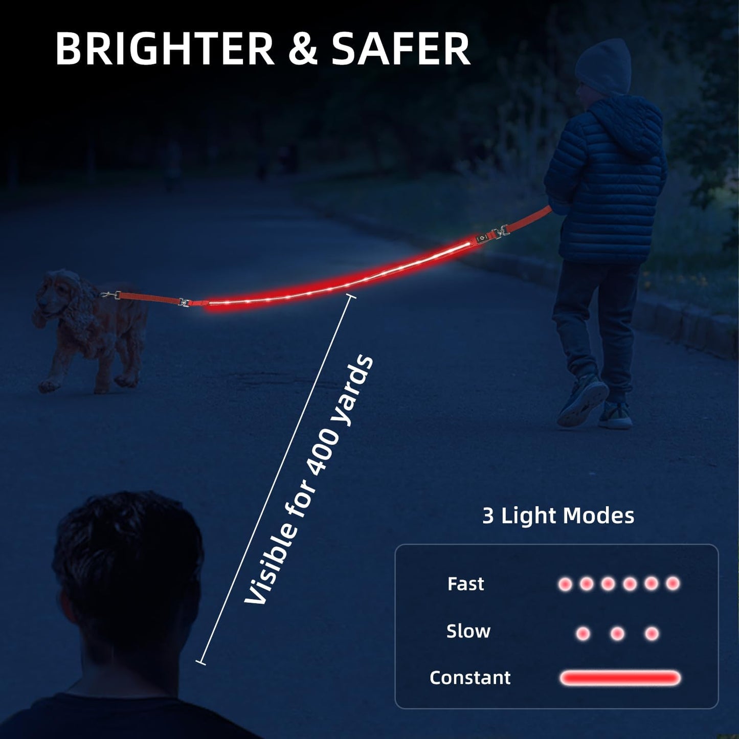 PetIsay Light up Dog Leash for Night Walking - USB-C Rechargeable, Waterproof - 6FT(Green)