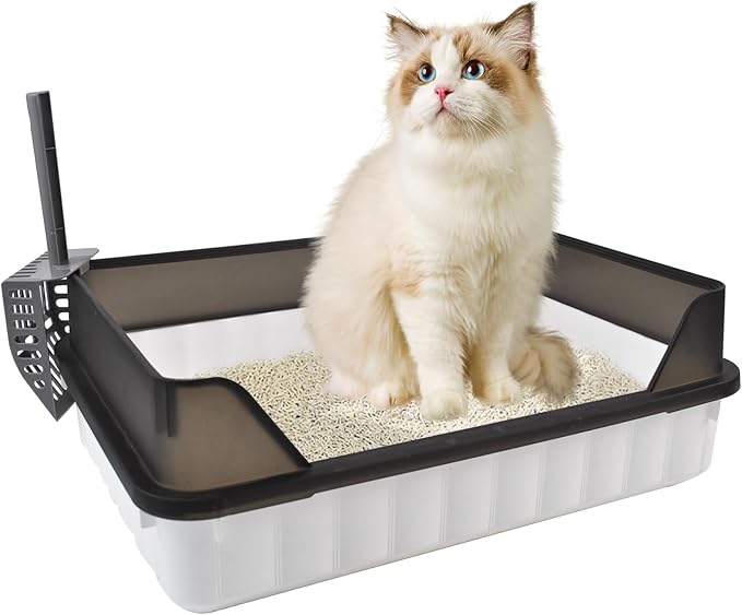 Large Cat Litter Box with High Sides,Semi Enclosed Cats Litter Box,Anti-Splashing Detachable Cat Litter Pan,Kitten Toilet with Litter Sifting Scoop for Big Middle Small Cats,Easy to Clean No Odor