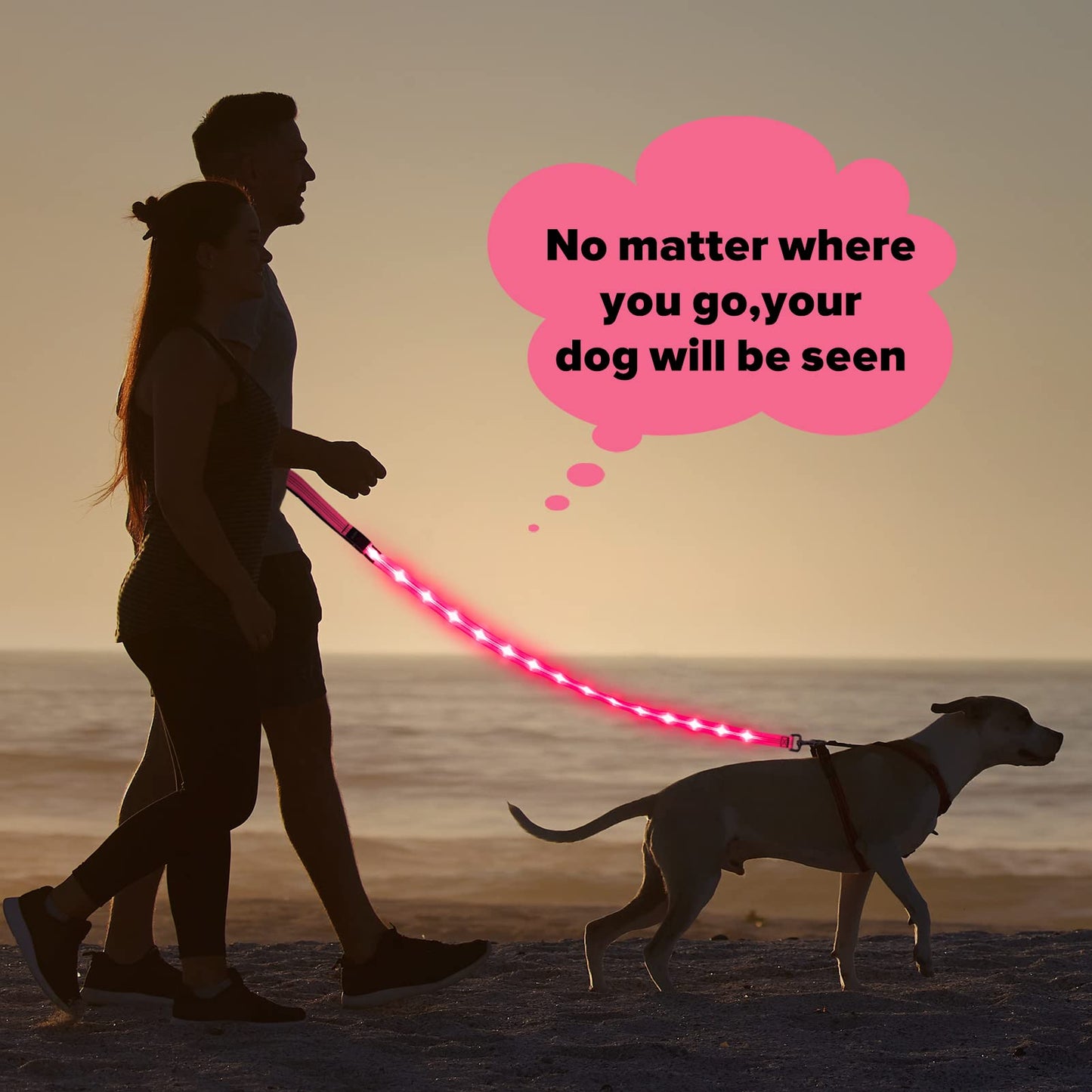 Illumifun LED Dog Leash - USB Rechargeable Light Up Dog Leash Glow in The Dark, Nylon Glowing Dog Lead for Your Dogs Walking (PinkⅡ)