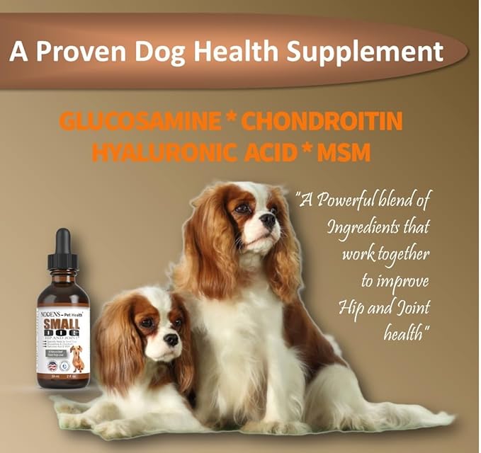 NODENS Small Dog Hip and Joint Liquid Glucosamine for Dogs with Chondroitin – Small Dog Joint Supplement for Natural Dog Pain Relief Anti-inflammatory for Improved Joint Flexibility and Mobility 59ml