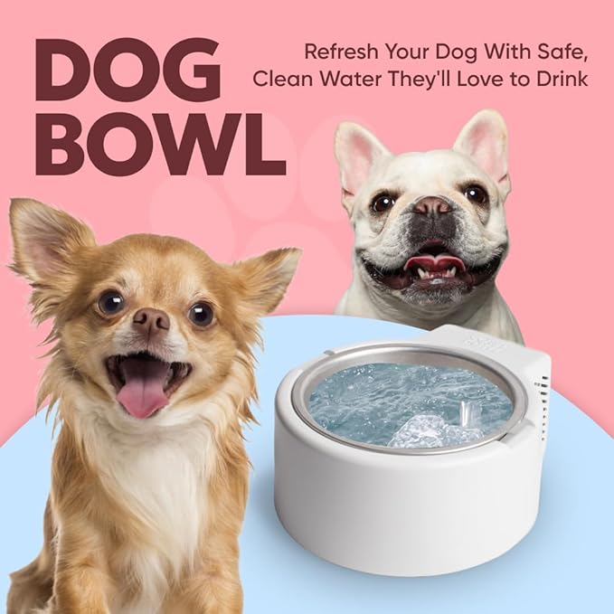 1.2L Cooling Dog Water Bowl – Plug-in Refrigerated Pet Bowl for Large, Medium, Small Dogs – Non-Slip Base, Dishwasher Safe, Keeps Water Cold for Summer Hydration (Yellow)