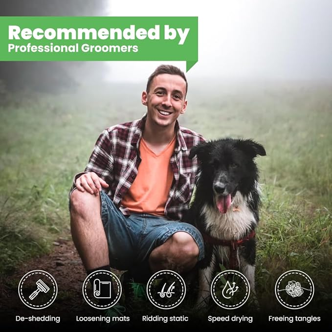 Best Shot Scentament Spa Tropical Breeze Seasonal Facial & Body Wash, 1 Gallon