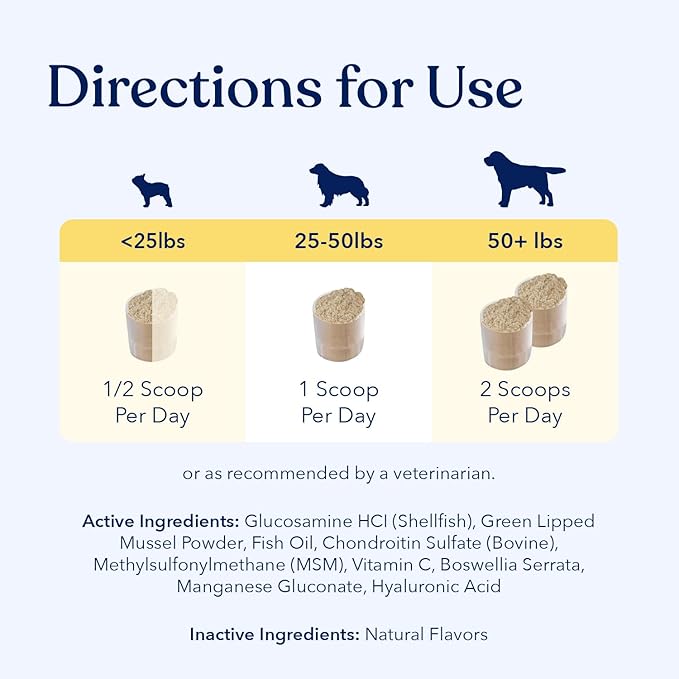 Honest Paws Joint Supplement for Dogs - Supports Mobility, Hip & Joint Health, Eases Stiffness - Glucosamine, Green Lipped Mussel, Fish Oil, Chondroitin Sulfate, MSM, Vitamin C