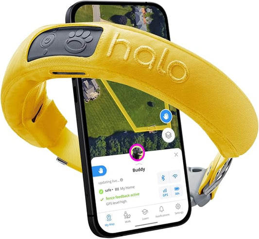 Halo Collar 3, Multifunctional GPS Wireless Dog Fence & Dog Training Collar with GPS Tracker, Subscription Required, Waterproof, Sunburst (Medium/Large)