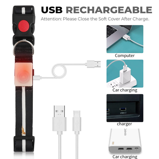 YUSHANG LED Dog Collar Waterproof Design Rechargeable