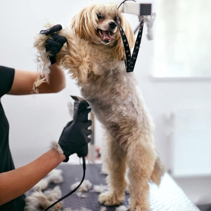 5PACK Dog Grooming Clipper Replacement Blades Compatible with Andis Pet Clipper/Oster A5/Wahl KM Series Dog Clipper with Ceramic Blade & Stainless Steel Blade (#10+5FC+7FC+3FC+4FC)