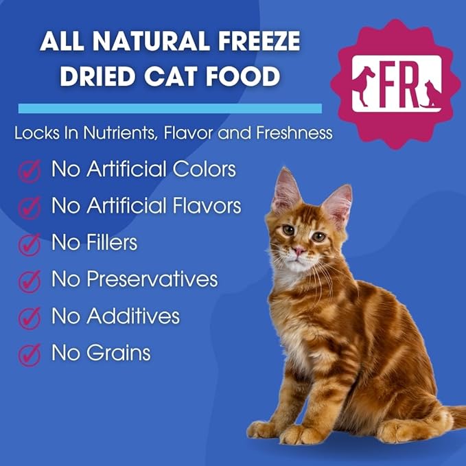 Freeze-Dried Raw Cat Food - Beef Formula, High Protein, Grain-Free, Whole Ingredients, No Additives, Meal Mixer or Topper - Supports Healthy Digestion, Coat, and Joints