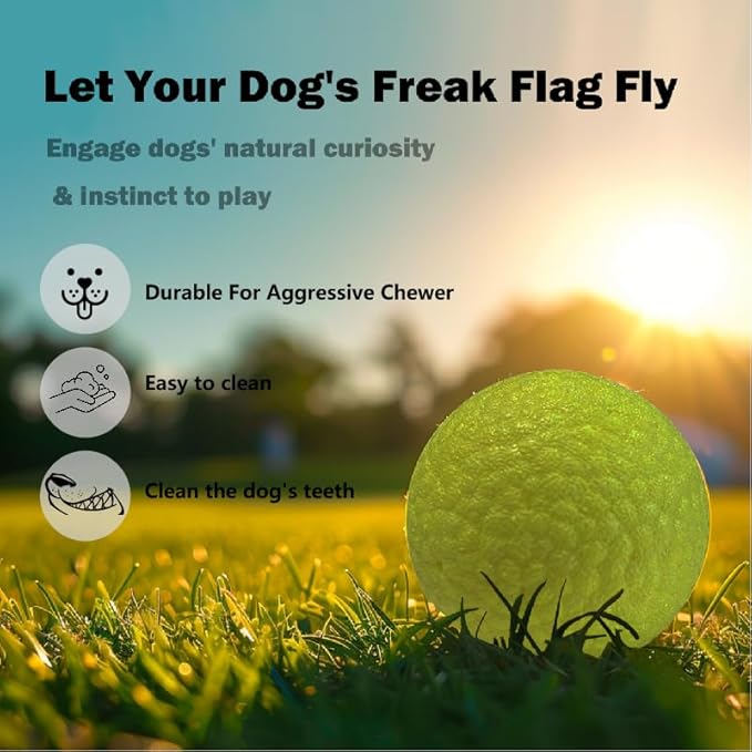Indestructible Dog Balls for Aggressive Chewers: Interactive Pet Toys, Solid-Colored, Durable, Bouncy, and Water Toy Fetch Balls, Herding and Jolly Ball for Dogs