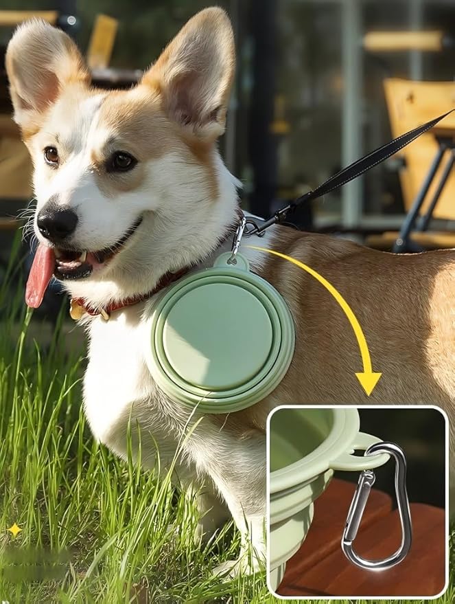 Collapsible Dog Bowls, 2 Pack (650ml), Large Size for Large/Medium Dogs Family Value Pack and Travel Walk (Green+Yellow)