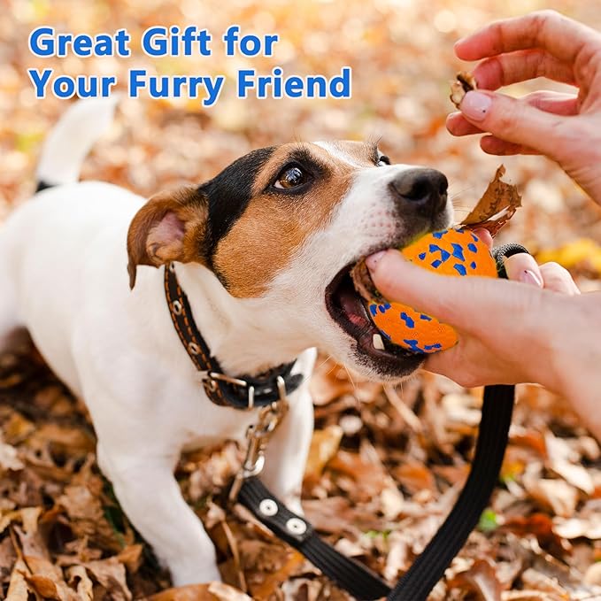 Dog Tennis Balls for Aggressive Chewers, Indestructible Dog Balls for Fetch Game, Durable Bouncy Lightweight Floating Toys (2 White + 2 Orange, Small (2.5" Diameter))