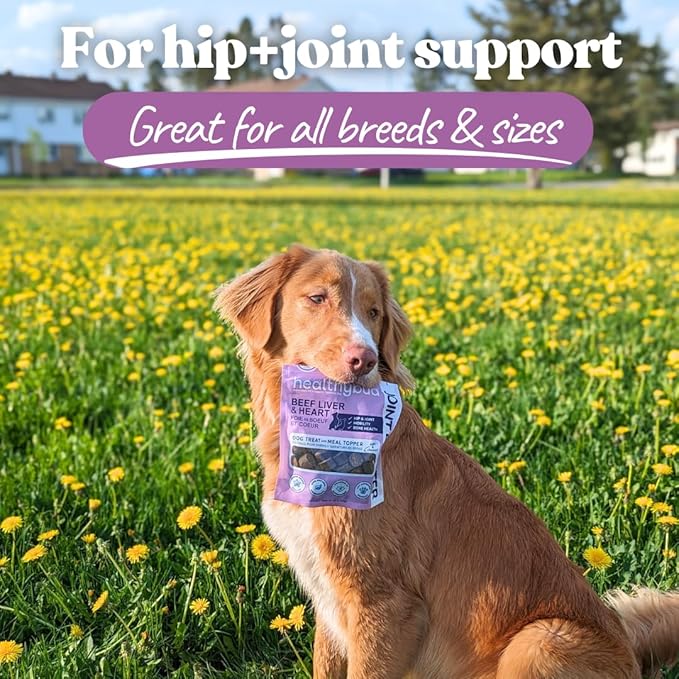 healthybud Hip and Joint Dog Chew - Glucosamine Soft Beef Liver Bites for Senior Dogs, Arthritis Support (4.6oz (2-Pack))