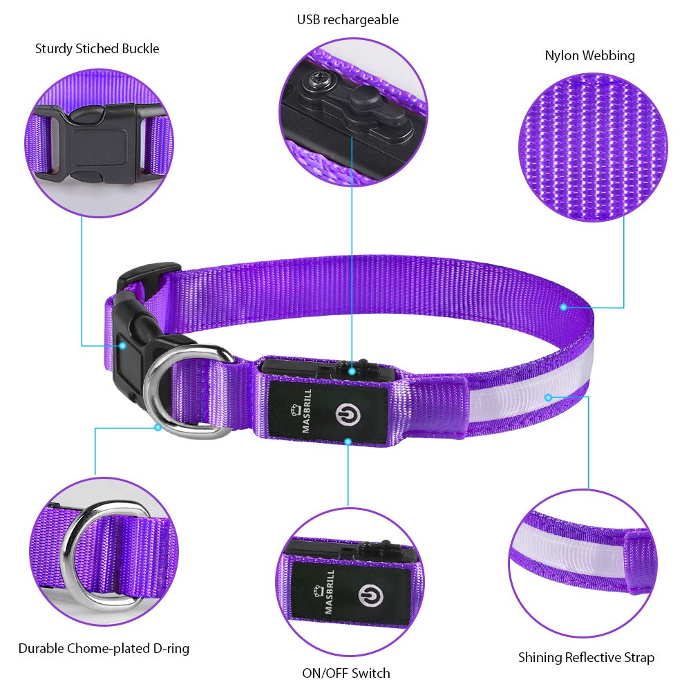 MASBRILL Light Up Dog Collar - LED Dog Collar Rechargeable Waterproof Night Walking Glow Collar for Dogs (M, Purple)