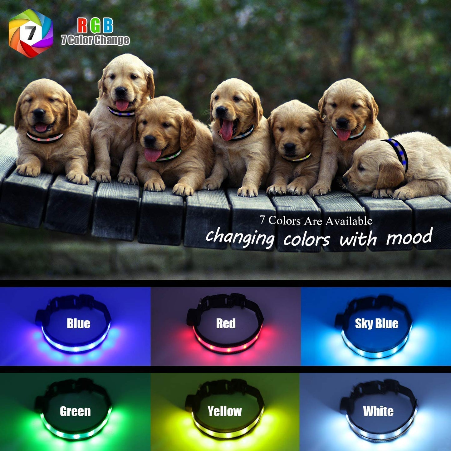 Light Up Dog Collars,Safety LED Dog Collars USB Rechargeable 7 Changing Colors Glow in The Dark Dog Walking Light,Neon Adjustable Safety Buckle Lighted Dog Collar for Small/Medium/Large Dogs, S Size