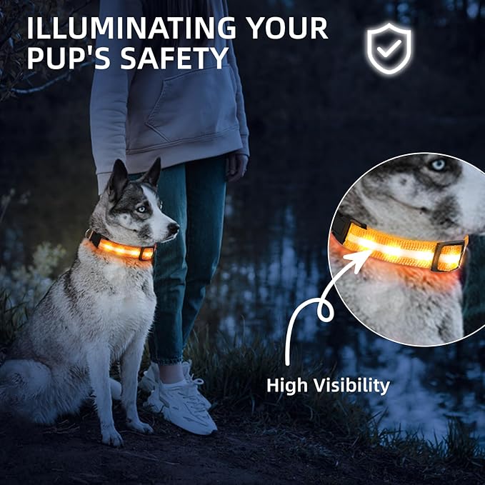 Super Bright LED Dog Collar - Fully Waterproof & Adjustable Glow Collar - USB-C Rechargeable for Night Walking, Safety - Flashing Lighted Collar for Dogs(Orange,L)