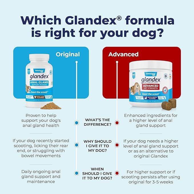 Vetnique Labs Glandex Dog Fiber Supplement Powder for Anal Glands with Pumpkin, Digestive Enzymes & Dog Probiotics for Digestive Health - Vet Recommended - Boot The Scoot (Beef Liver, 2.5oz Powder)