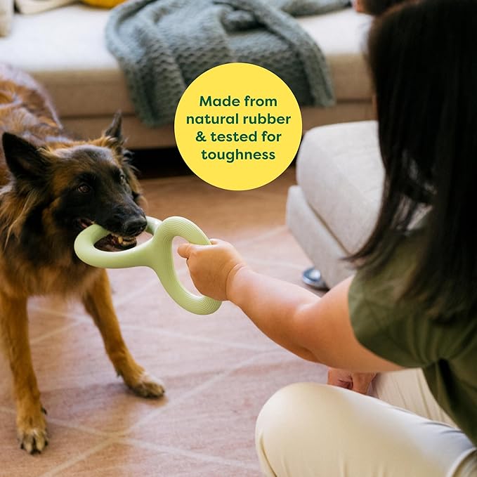 Earth Rated Tug of War Toy for Dogs and Puppies, Interactive Dog Pull Toys, Ergonomic Grip, Natural Rubber, Large, Green