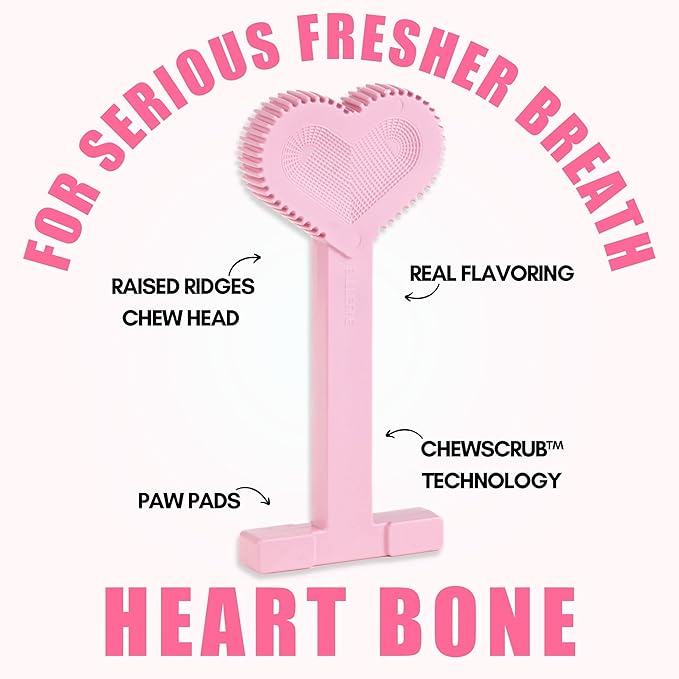 Bullibone Nylon Dog Chew Toy Nylon Bone - Improves Dental Hygiene, Easy to Grip Bottom, and Permeated with Flavor (Peppermint, Small - Single)