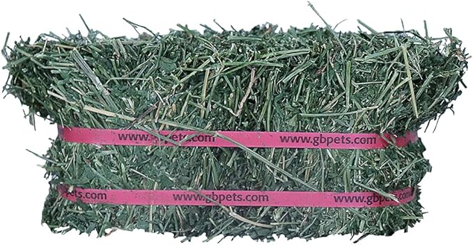 Grandpa's Best ALF10 10 lb Alfalfa Hay Bale (Packaging may vary )