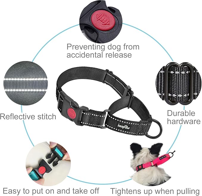 haapaw 2 Packs Martingale Dog Collar with Quick Release Buckle Reflective Dog Training Collars for Small Medium Large Dogs