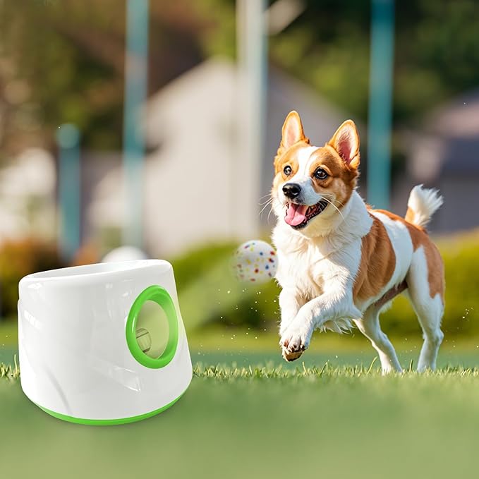 Automatic Ball Launcher for Dogs with 6 Balls