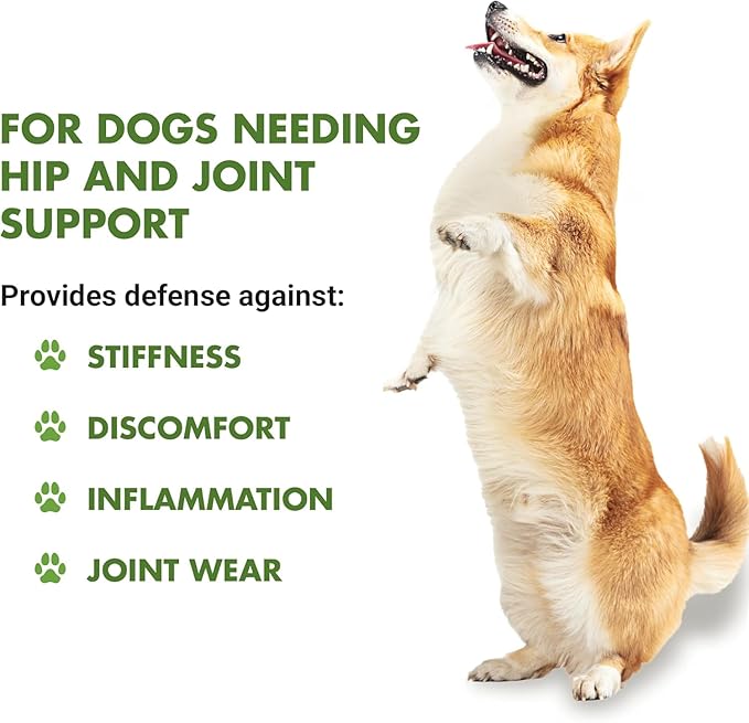 K9 Hip & Joint Formula, Chicken Flavor, 16 oz (Pack of 4)