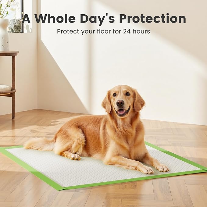 Gardner Pet Dog Pee Pads Extra Large 28"x34", XL Thicker ECO Green Disposable Puppy Training Pads Super Absorbent Full Edge-Wrapping Pad for Dogs, Puppies, Cats, Rabbits (100 Count)