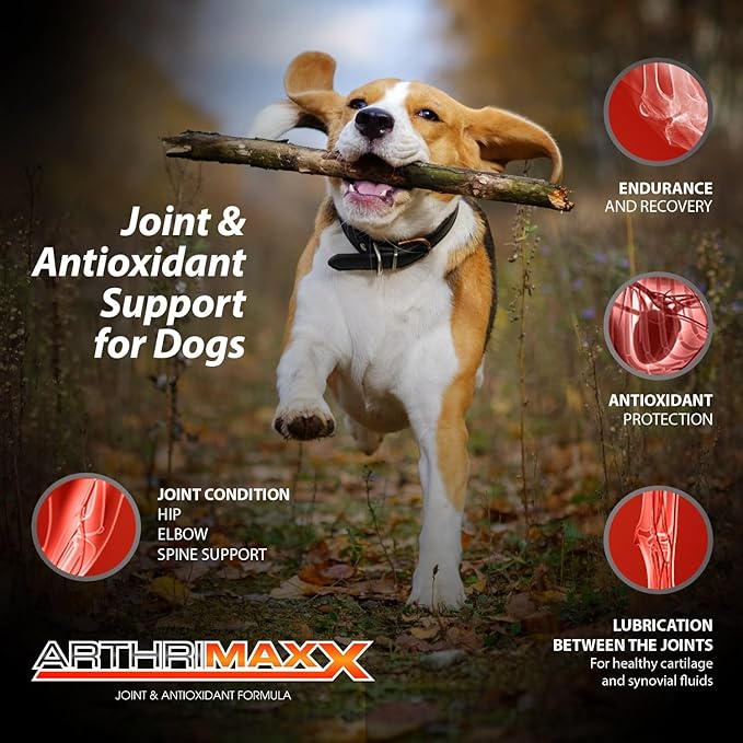 Dog Supplements for Joint Inflammation & Arthritis, Naturally Potent Dog Joint Care, Delicious Soft Chews with Turmeric, Omega 3, & Glucosamine for Dogs, Natural Liver Flavor, 120 Pc